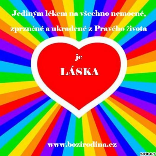 JEDINÝM LÉKEM NA VŠECHNO NEMOCNÉ, ZPRZNĚNÉ A UKRADENÉ Z PRAVÉHO ŽIVOTA JE LÁSKA = VYŠŠÍ VIBRACE